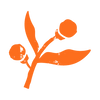 Groep_337.png