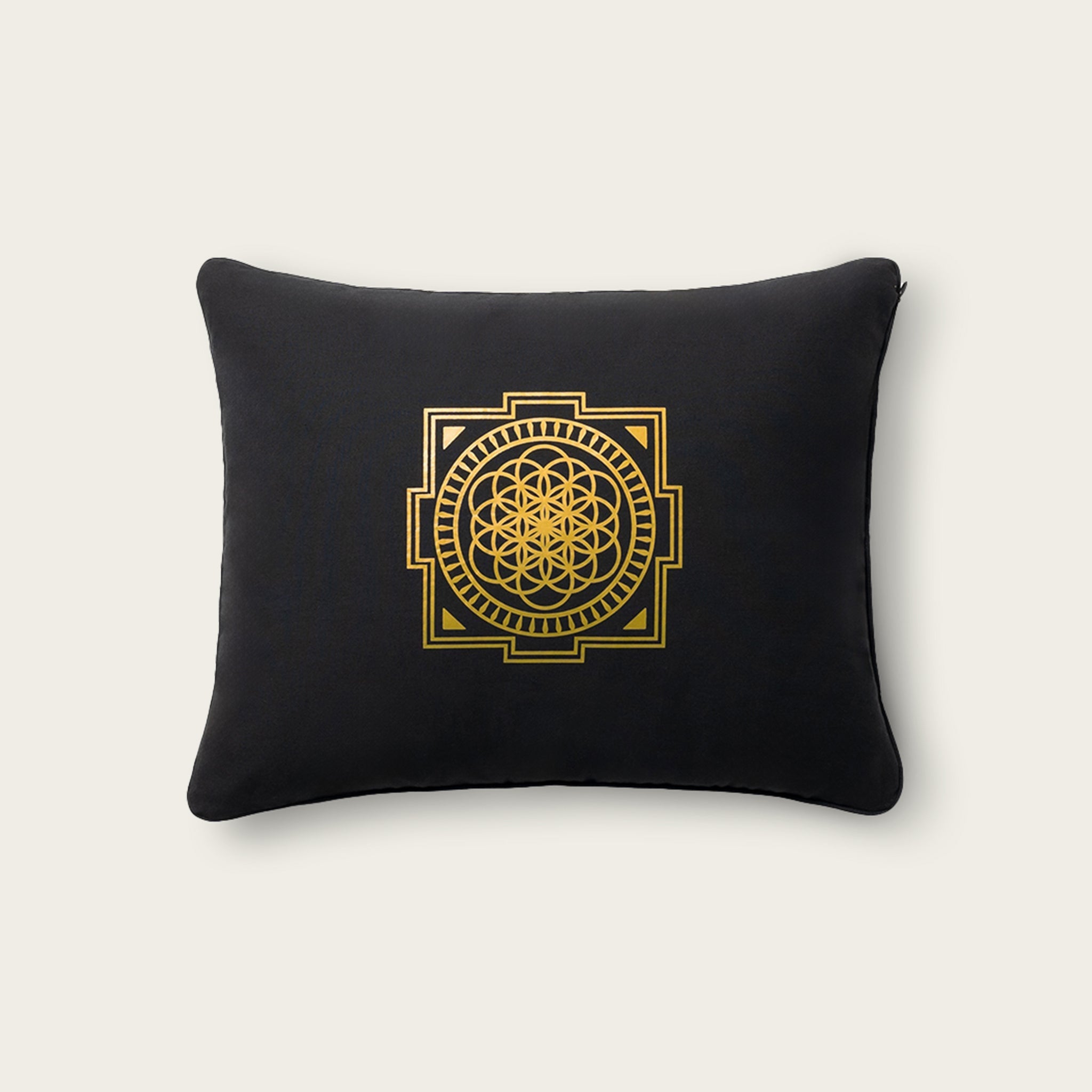 Gevorderd+Shakti Zwart